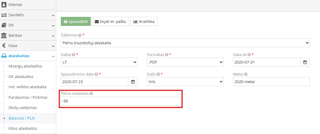 Pelno (nuostolių) ataskaitos pavyzdys ekrane